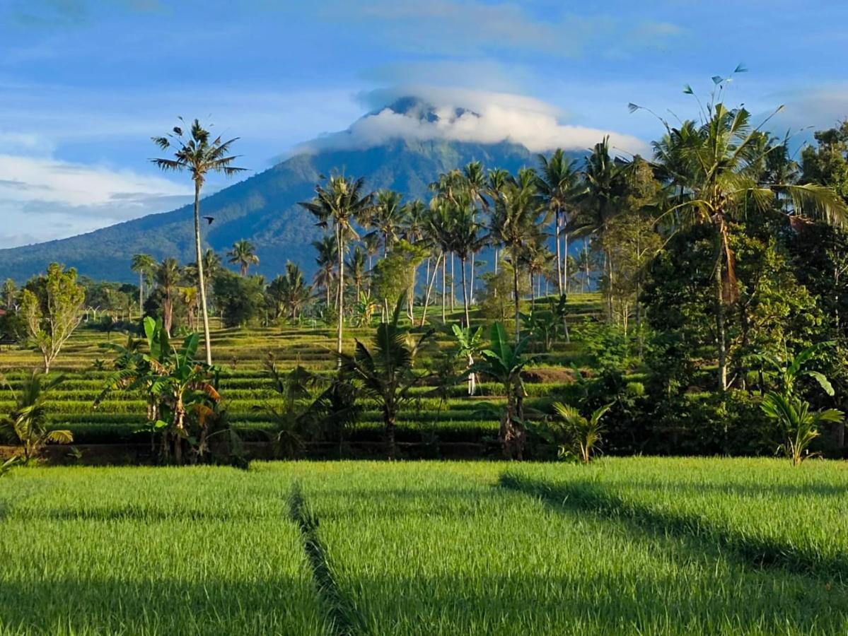 Sawah Ijen Hotell Licin Eksteriør bilde