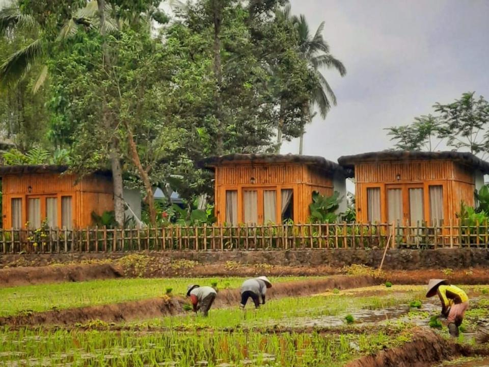 Sawah Ijen Hotell Licin Eksteriør bilde